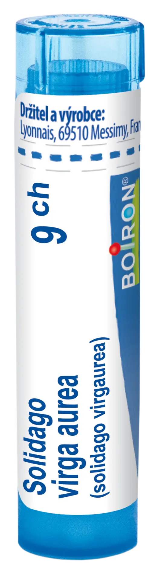 10780_SOLIDAGO VIRGA AUREA 9